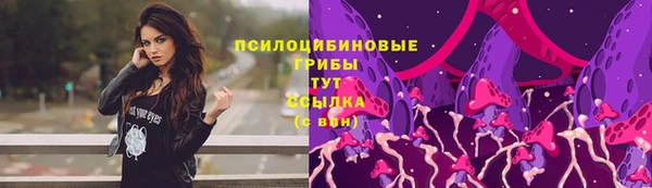 спайс Козельск