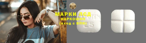 трава Абаза