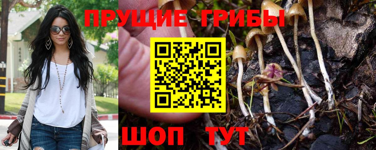 Псилоцибиновые грибы мухоморы  Вход с VPN  Якутск 